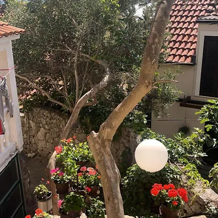Apartament Petra