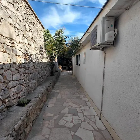 Petra Tribalj