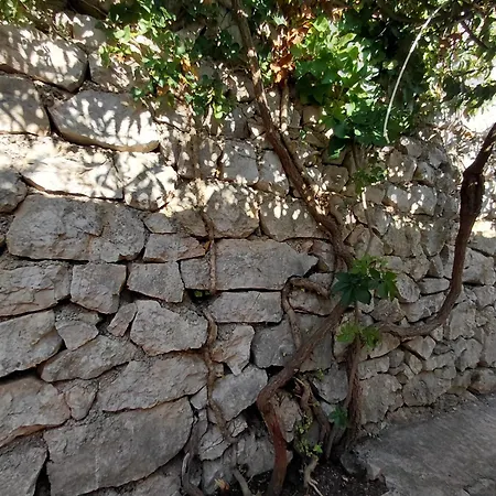 Petra Apartament Tribalj